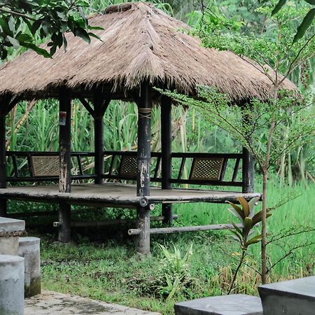 Tiara Homestay Plambi Exterior foto